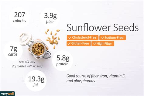 How many carbs are in accompaniment - sunflower seeds - calories, carbs, nutrition