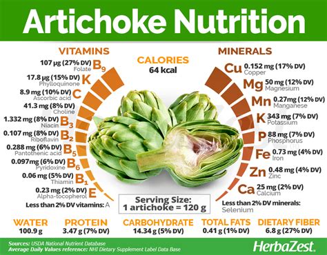 How many carbs are in artichokes, fresh - calories, carbs, nutrition