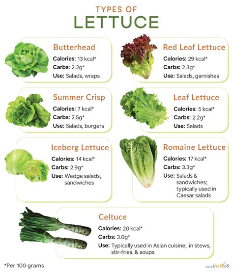 How many carbs are in autumn salad on leaf lettuce - calories, carbs, nutrition