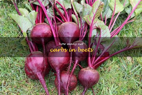 How many carbs are in beetroot orange & roquette salad - calories, carbs, nutrition