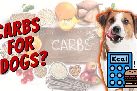 How many carbs are in carolina dog - calories, carbs, nutrition