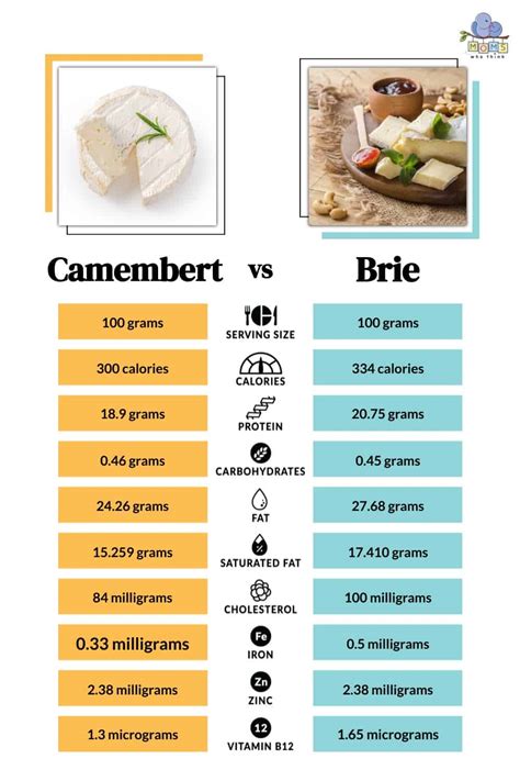 How many carbs are in cheese, camembert - calories, carbs, nutrition