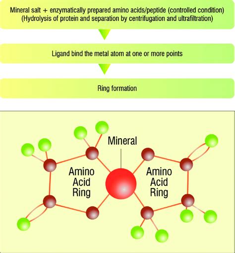 How many carbs are in chelated mineral - calories, carbs, nutrition