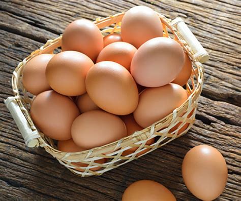 How many carbs are in farm fresh eggs - calories, carbs, nutrition