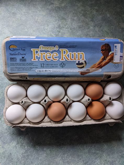How many carbs are in free run eggs - calories, carbs, nutrition