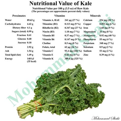 How many carbs are in fresh flowering kale - calories, carbs, nutrition