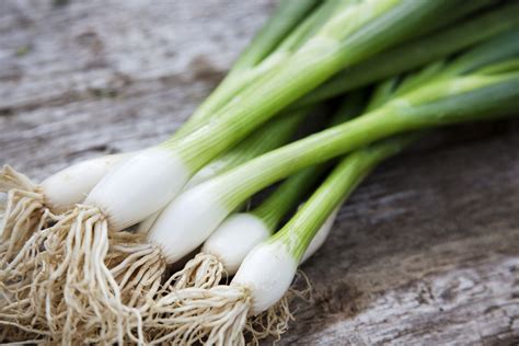 How many carbs are in green onions, fresh - calories, carbs, nutrition