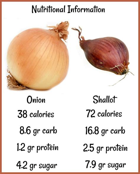 How many carbs are in grilled shallots - calories, carbs, nutrition