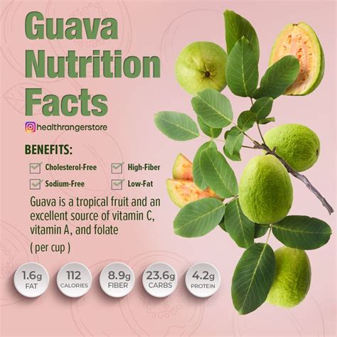 How many carbs are in guava mango - calories, carbs, nutrition