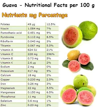 How many carbs are in guava nectar, canned - calories, carbs, nutrition