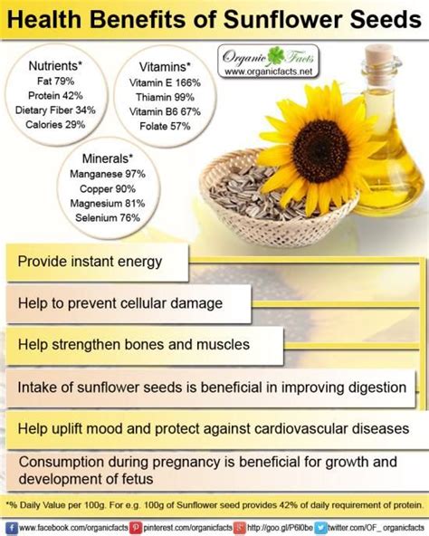 How many carbs are in in sunflower oil 74 g - calories, carbs, nutrition