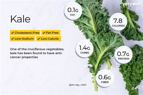 How many carbs are in kale sprouts - calories, carbs, nutrition