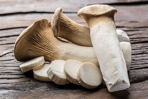 How many carbs are in king trumpet mushroom (81659.0) - calories, carbs, nutrition