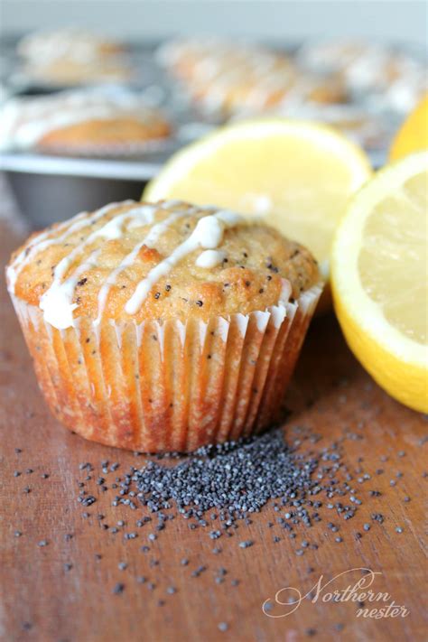 How many carbs are in lemon poppy seed muffins - calories, carbs, nutrition