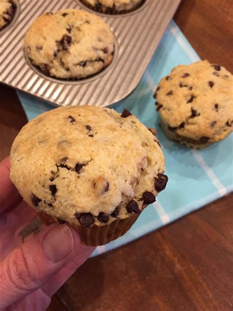 How many carbs are in muffin mix peanut butter sour cream choc chip #16 scoop - calories, carbs, nutrition