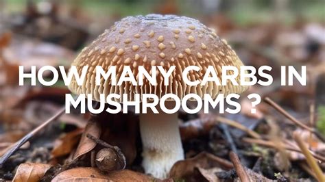How many carbs are in mushroom pilaf - calories, carbs, nutrition