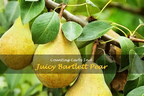 How many carbs are in pear bartlett individually wrapped - calories, carbs, nutrition