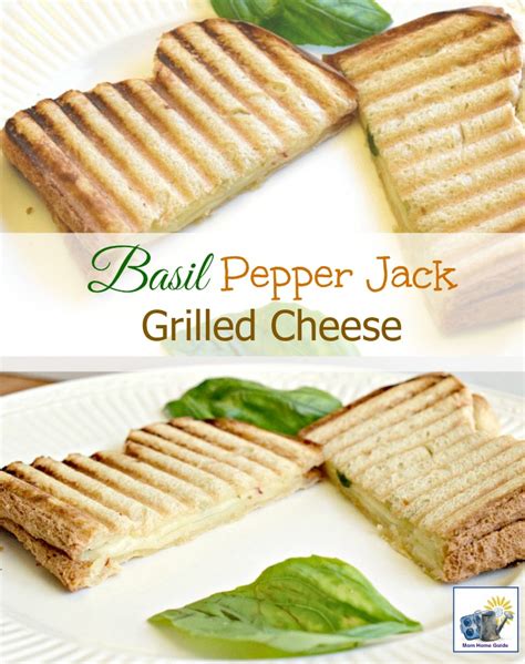 How many carbs are in pepperjack grilled cheese panini - calories, carbs, nutrition