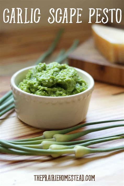 How many carbs are in pesto sauce, with roasted garlic - calories, carbs, nutrition