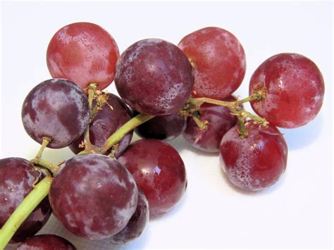 How many carbs are in red grapes - calories, carbs, nutrition