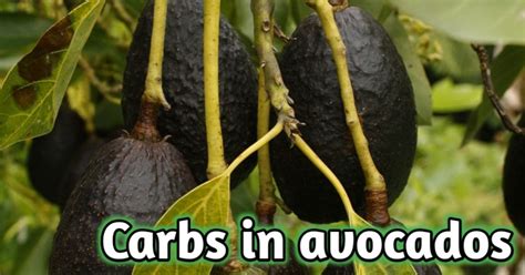 How many carbs are in seasoned diced avocado - calories, carbs, nutrition