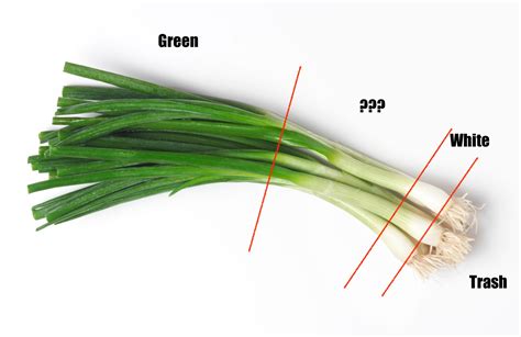 How many carbs are in sliced scallions - calories, carbs, nutrition