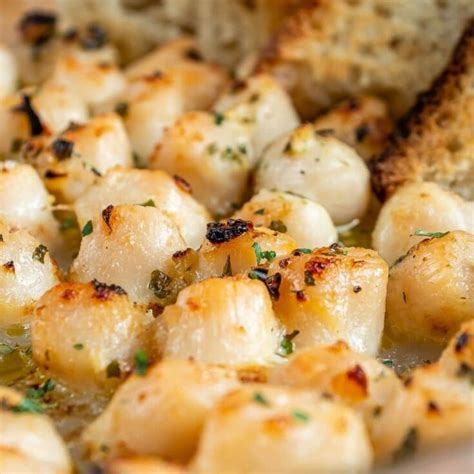 How many carbs are in steamed bay scallops - calories, carbs, nutrition