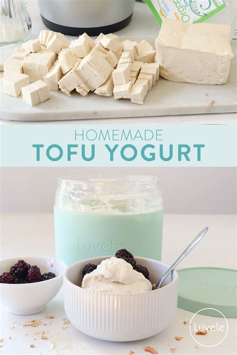 How many carbs are in tofu yogurt - calories, carbs, nutrition
