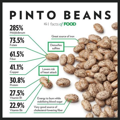 How many carbs are in vegetarian pinto bean - calories, carbs, nutrition