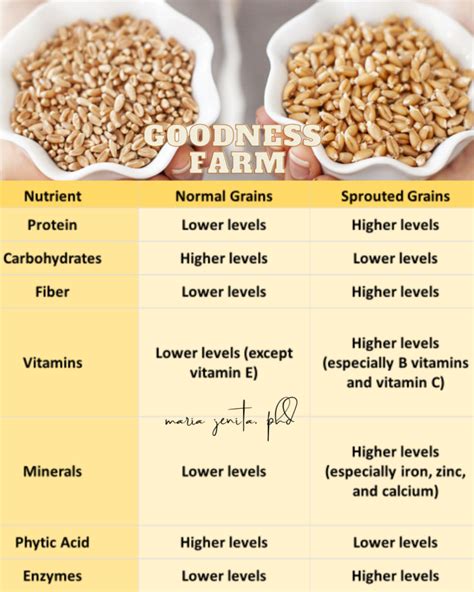 How many carbs are in wheat, sprouted - calories, carbs, nutrition