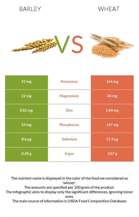 How many carbs are in wheat 6