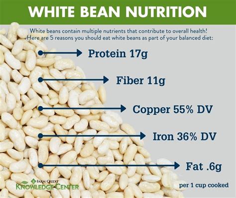 How many carbs are in white bean ragout - calories, carbs, nutrition