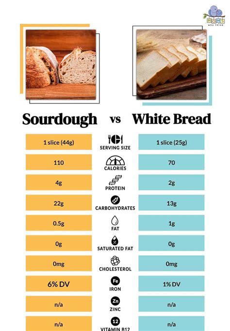 How many carbs are in white sandwich bread - calories, carbs, nutrition