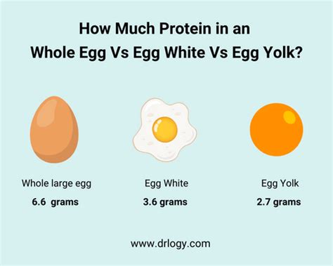 How many protein are in 1 cake - calories, carbs, nutrition