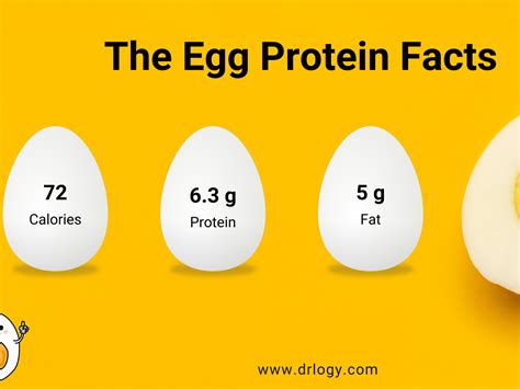 How many protein are in 1 egg - calories, carbs, nutrition