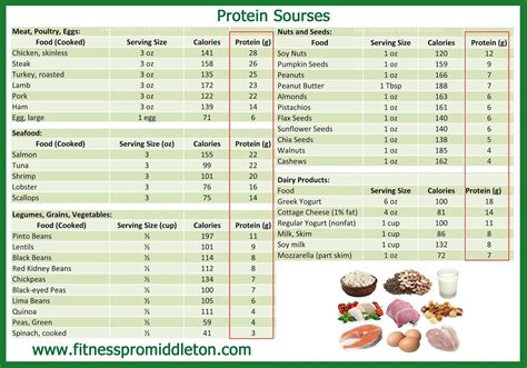 How many protein are in 100 cal right bites - calories, carbs, nutrition