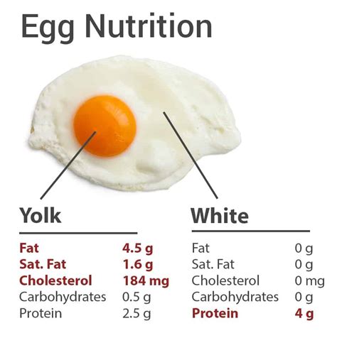 How many protein are in 1agg - calories, carbs, nutrition