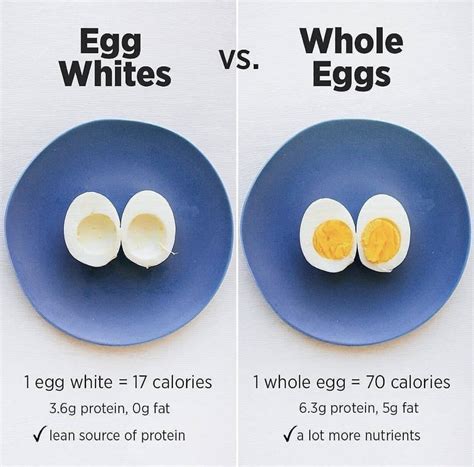 How many protein are in 3 egg omelette - calories, carbs, nutrition