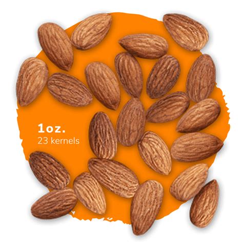 How many protein are in almonds sliced toasted 1 oz - calories, carbs, nutrition