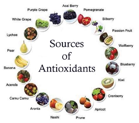 How many protein are in antioxidant blend - calories, carbs, nutrition