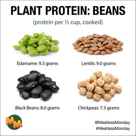 How many protein are in arizona ranch beans - calories, carbs, nutrition