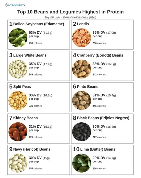 How many protein are in au bon pain 3 bean & swiss chard (75663.0) - calories, carbs, nutrition