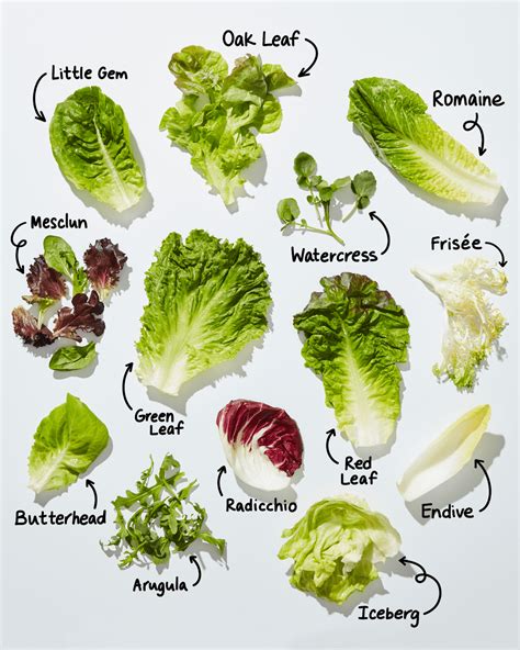 How many protein are in autumn salad on leaf lettuce - calories, carbs, nutrition