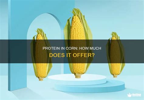 How many protein are in baby corn, mixed leave & sliced red onion salad - calories, carbs, nutrition