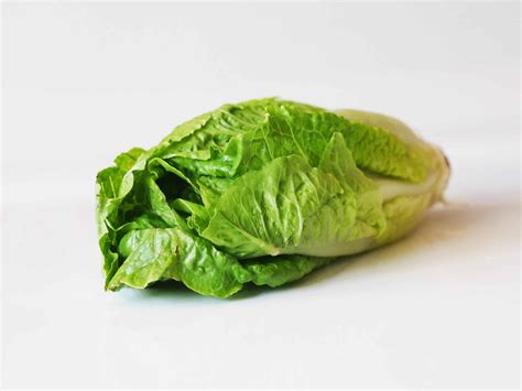 How many protein are in baby romaine - calories, carbs, nutrition