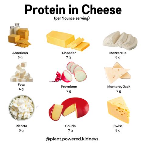 How many protein are in baby swiss cheese - calories, carbs, nutrition