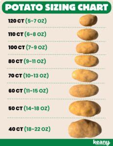 How many protein are in baked potato - 120 ct. - calories, carbs, nutrition