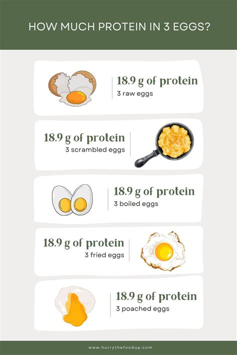 How many protein are in baked scrambled eggs - calories, carbs, nutrition