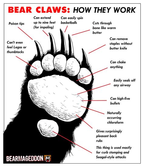 How many protein are in bear claws - calories, carbs, nutrition