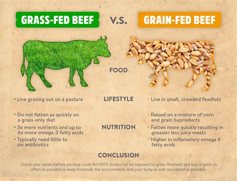 How many protein are in beef, australian, grass-fed, seam fat, raw - calories, carbs, nutrition